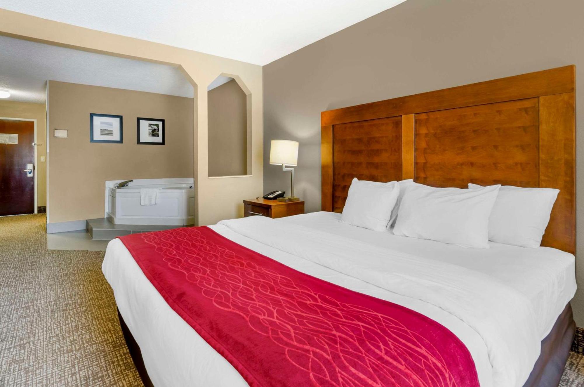 Comfort Inn & Suites Christiansburg I-81 Екстер'єр фото